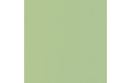 96160-48 Фисташка антискрэч