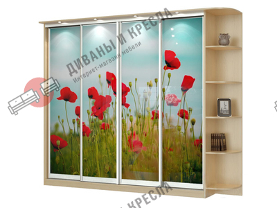 Шкаф-купе прямой Акцент-4 с фотопечатью 220x40x200