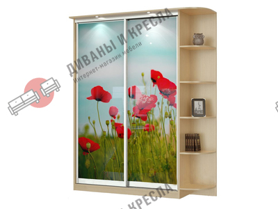Шкаф-купе прямой Акцент-2 с фотопечатью 100x40x200