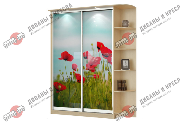 Шкаф-купе прямой Акцент-2 с фотопечатью 100x40x200