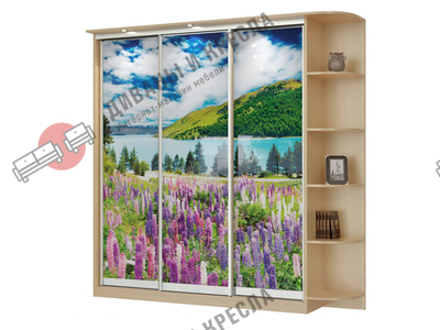 Шкаф-купе прямой Орегон-3 с фотопечатью 170x40x200