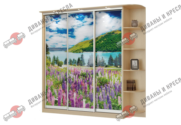 Шкаф-купе прямой Орегон-3 с фотопечатью 170x40x200